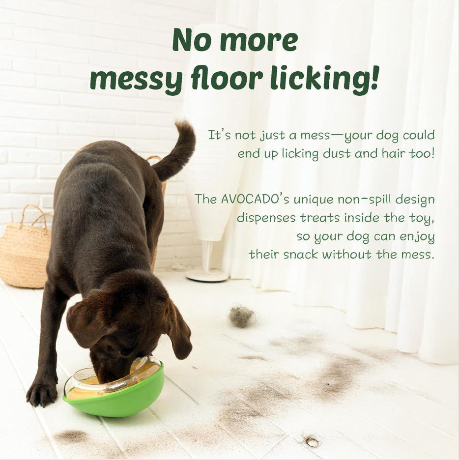 Anti-tumble avocado pet feeding bowl with non-slip base for dogs and cats