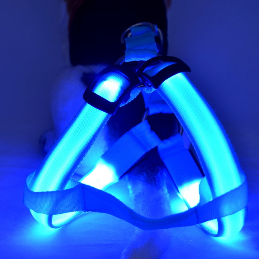 “LED luminous dog chest strap and glowing leash for night safety”