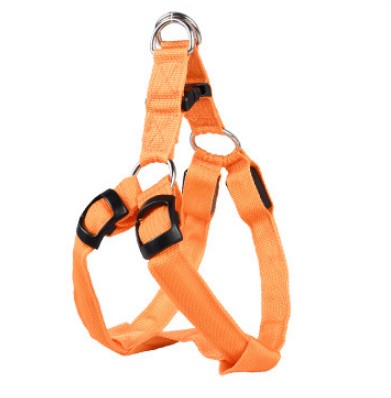 “LED luminous dog chest strap and glowing leash for night safety”