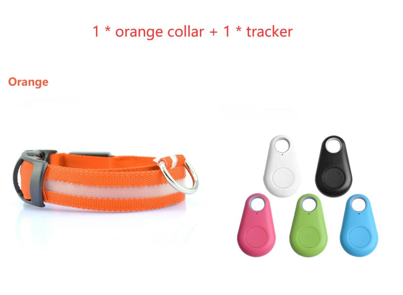 Safety Dog LED Collar – USB Rechargeable, Adjustable Light-Up Pet Collar for Night Walking | Free Shipping