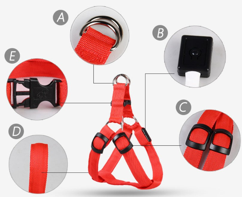“LED luminous dog chest strap and glowing leash for night safety”