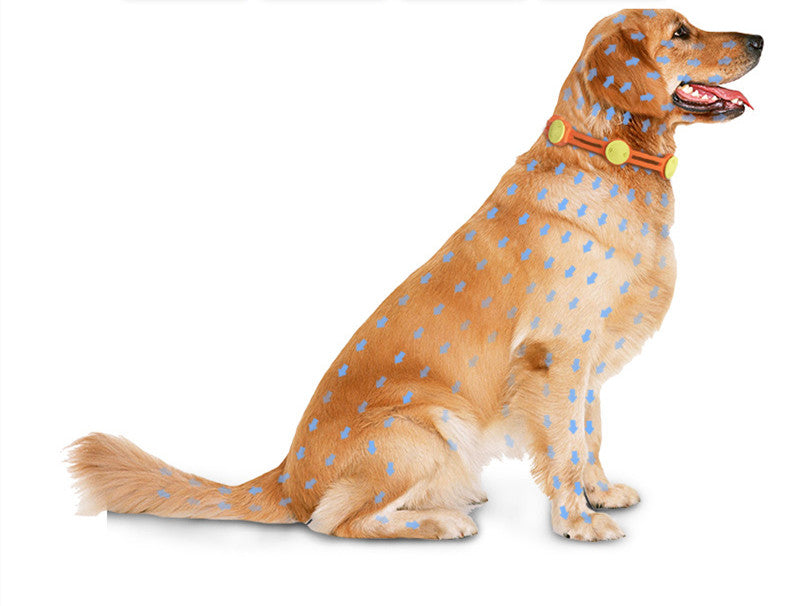 Premium Anti-Flea & Tick Collar for Dogs & Cats - Long-Lasting Pest Protection | Free Shipping