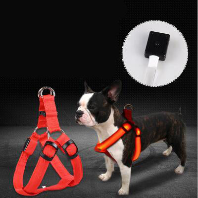 “LED luminous dog chest strap and glowing leash for night safety”