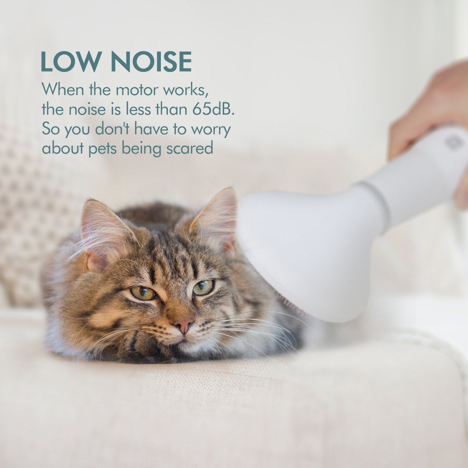 “Dadypet 2-in-1 pet hair dryer and slicker grooming brush for dogs and cats”