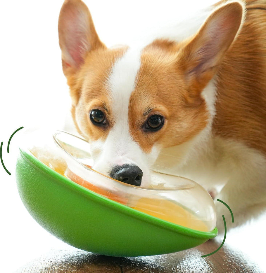 Anti-tumble avocado pet feeding bowl with non-slip base for dogs and cats