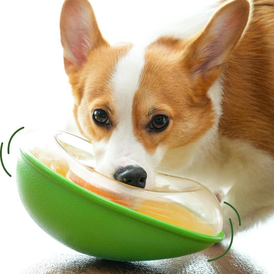 Anti-tumble avocado pet feeding bowl with non-slip base for dogs and cats